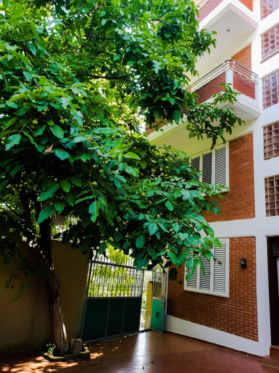 Lux Apartments Wlora Zewnętrze zdjęcie